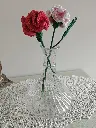 Fleur de naissance - L'œillet 
