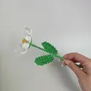 Fleur de naissance - la Marguerite