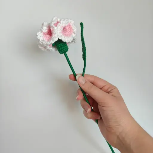 Fleur de naissance - L'œillet 