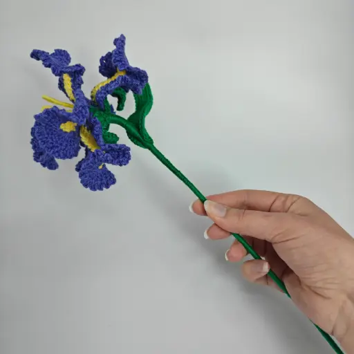 Fleur de naissance - l'Iris
