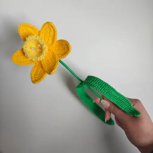 Fleur de naissance - la Jonquille
