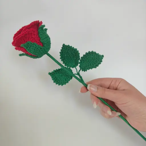 Fleur de naissance - la Rose